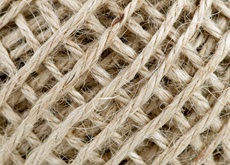 Natural Fibers- Sustainable reinforcement for Thermoplastics (Compounding, Processing & Trends)